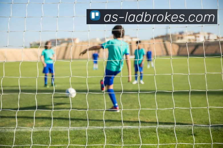 立博体育Ladbrokes外围平台平台生态图